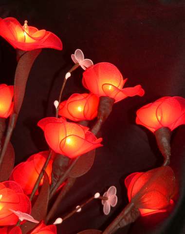 Red Roses on stems - fairy lights - Medium